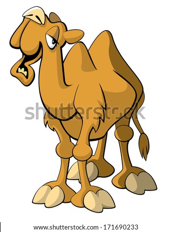 Hump day camel birthday