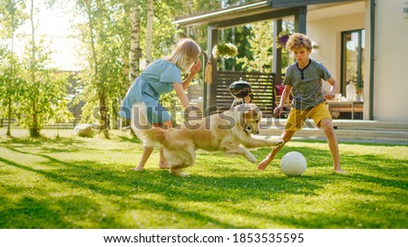 Two Kids Have fun with Their Handsome Golden Retriever Dog on the Backyard Lawn. They Pet, Play, Tackle it on the Ground And Scratch. Happy Dog Holds Toy Football in Jaws. Suburb House in the Summer ストックフォト © 