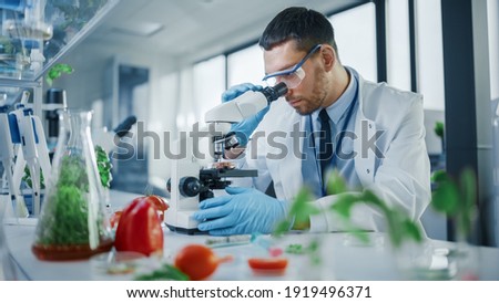 Male Microbiologist Looking at a Lab-Grown Cultured Vegan Meat Sample in a Microscope. Medical Scientist Working on Plant-Based Beef Substitute for Vegetarians in a Modern Food Science Laboratory.