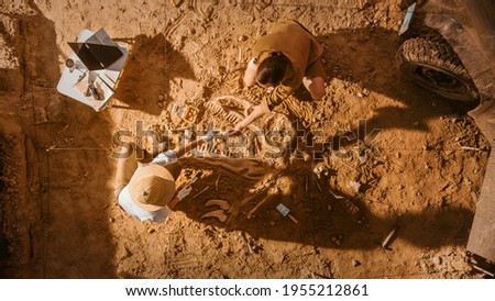 Top-Down View: Two Great Paleontologists Cleaning Newly Discovered Dinosaur Skeleton. Archeologists Discover Fossil Remains of New Species. Archeological Excavation Digging Site.