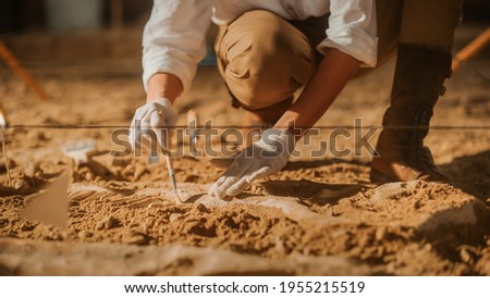 Paleontologist Cleaning Tyrannosaurus Dinosaur Skeleton with Brushes. Archeologists Discover Fossil Remains of New Predator Species. Archeological Excavation Digging Site. Close-up Focus on Hands