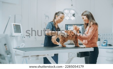 Similar – Image, Stock Photo An young and attractive Indian Bengali brunette woman in active wear is doing yoga after waking up in the morning in front of window in her room. Indian lifestyle.