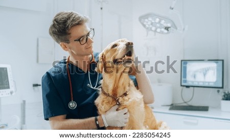 Similar – Image, Stock Photo young veterinarian man examining a cute small dog by using stethoscope, isolated on white background. Indoors