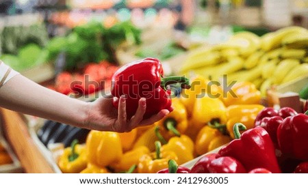 Similar – Image, Stock Photo Fresh bio harvest red currant