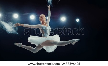 Similar – Image, Stock Photo Graceful ballerina and her male partner dancing elements of classical or modern ballet in dark with floodlight backlight. Couple in smoke on black background. Art concept.