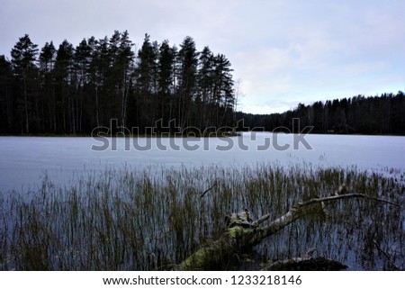 Foto Bild Gefrorener Haukkalampi-See an bewölktem Tag im Nuuksio Nationalpark