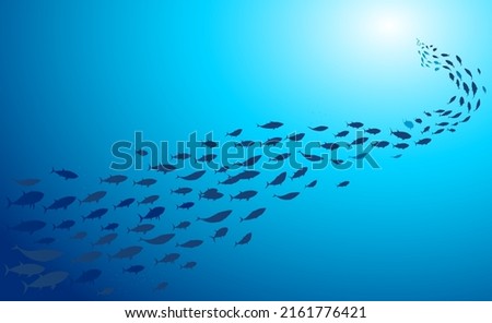 School of fish swimming under water of sea. School tuna fish swims in underwater	