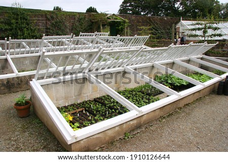 Similar – Image, Stock Photo greenhouse Heligan