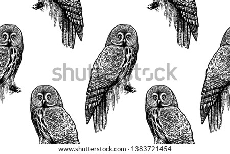 Owl Naadloos Behang Download Gratis Vectorkunst En Andere