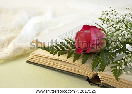 A single red rose lays on an opened vintage book with a green fern leaf and baby breath flowers with a lacy negligee in the background.