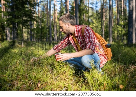 Image, Stock Photo Picking wild blueberries in the forest