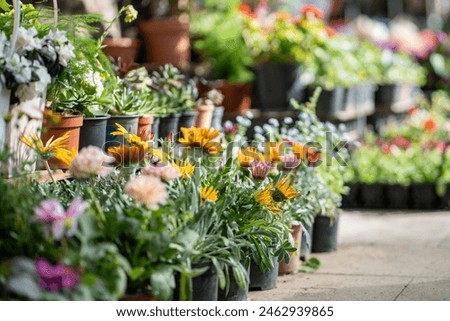 Similar – Image, Stock Photo street market of assortment of fresh fruits and vegetables