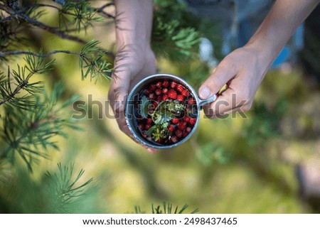 Similar – Foto Bild Unerkennbare Backpacker-Trekking im Herbstwald