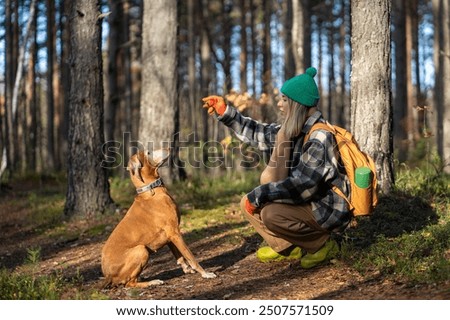 Similar – Image, Stock Photo Hike with dog in the high mountains