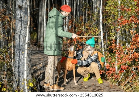 Similar – Foto Bild Sportgastein im Herbst / Hohe Tauern / Salzburger Land