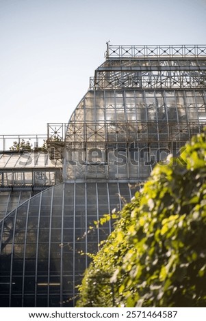Similar – Image, Stock Photo Glass orangery roof with vines