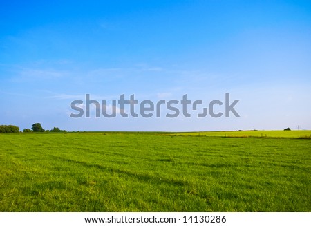 summer grass land-scape with bright blue sky