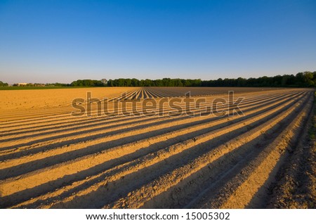farm landscape with pattern made in the dry ground with blue sky
