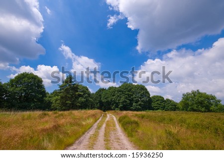 sandy country road with pasture and trees and dramatic cloud scene