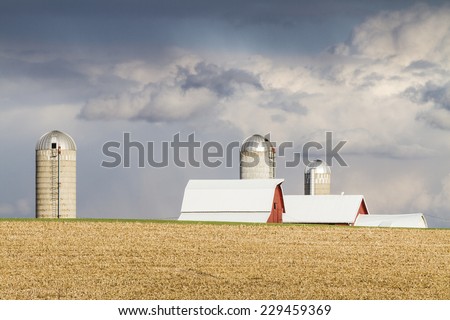 Wisconsin, USA - October 227, 2011:  harvested corn field with barns and silos in the background