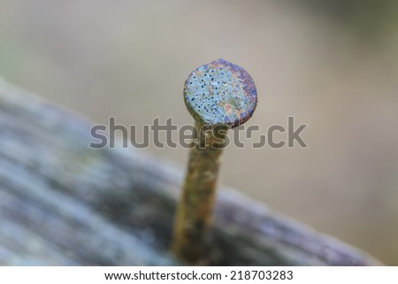 close up Nail in wood surface, horizontal photo