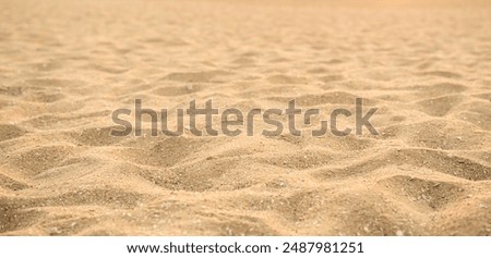 Similar – Image, Stock Photo Close up of beach dunes