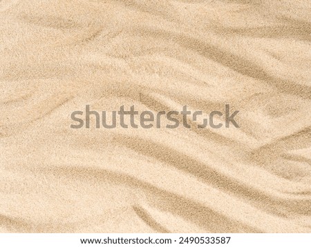 Similar – Image, Stock Photo Close up of dried parrot tulips.