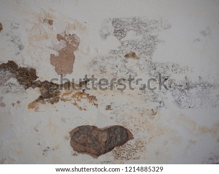 Shutterstock Puzzlepix