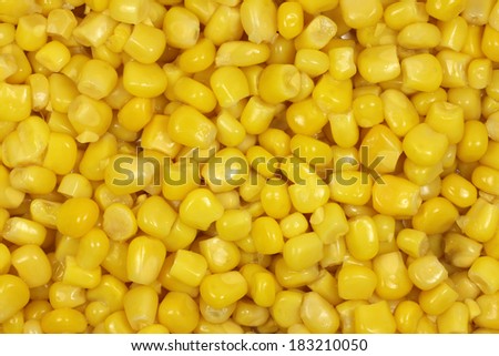 canned corn grain abstract background