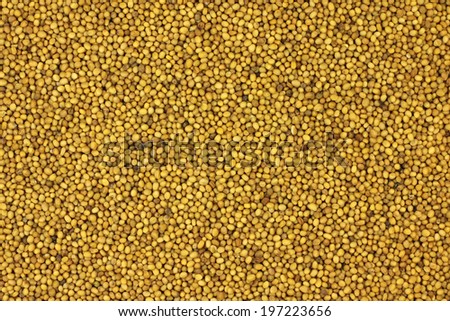 brown mustard seeds abstract background