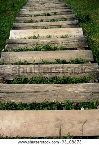 wooden staircase in nature covered by naturally growing grass and flowers