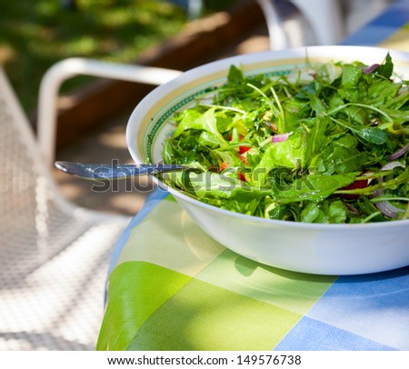 Bowl of fresh italian green salad on a table outdoor