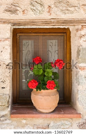 Flower pot in window, Greece