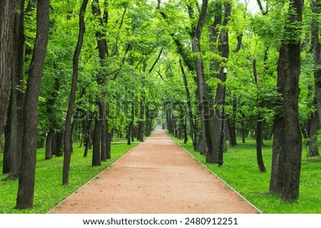 Image, Stock Photo Path through the green in spring