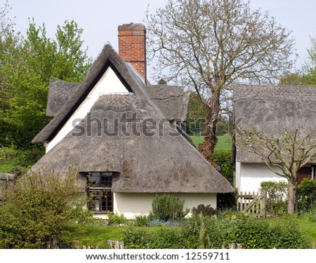 Old  English Thatched Cottage