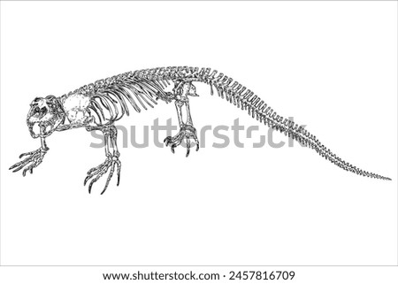 Gila Monster Drawing | Free download on ClipArtMag