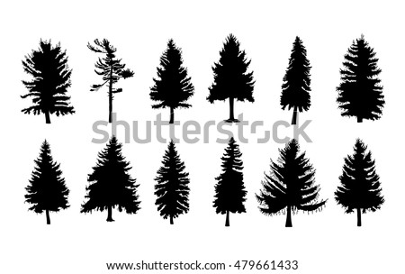 cedar trees silhouette vector download free vector art stock trees silhouette vector