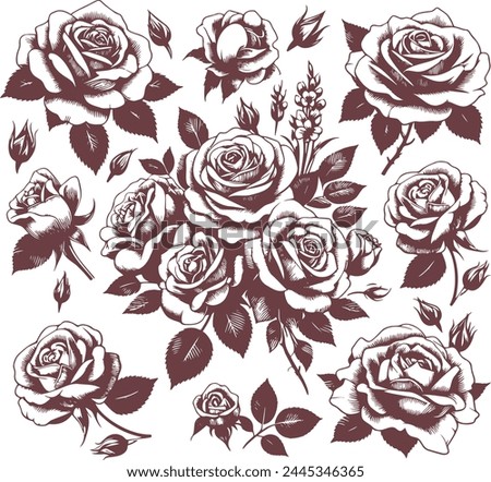 blooming roses with leaves in vector monochrome drawing