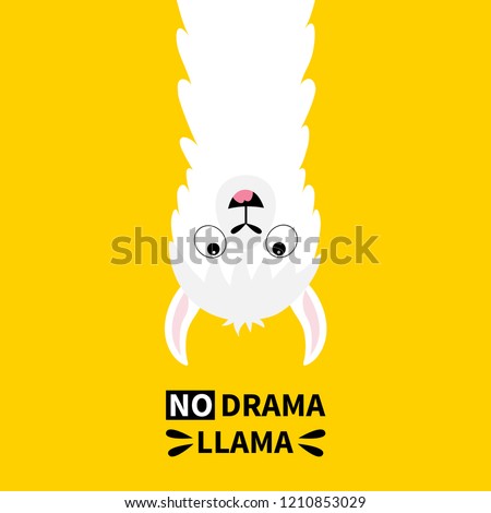 Llama alpaca face hanging upside down. No drama. Cute cartoon funny kawaii character. Childish baby collection. T-shirt, greeting card, poster template print. Flat design. Yellow background. Vector