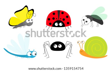 Butterfly Lady bug ladybird Fly Housefly Spider Snail Dragonfly insect icon set. Baby kids collection. Cute cartoon kawaii funny character. Smiling face. Flat design. White background. Vector