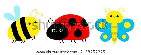 Ladybug ladybird, bee bumblebee, butterfly, lady bug. Insect set line. Cute cartoon funny kawaii baby animal character. Flat design. White background. Isolated. Vector illustration