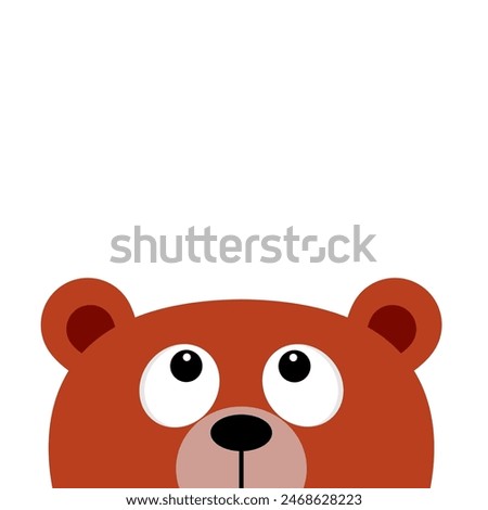 Bear grizzly head looking up. Big eyes. Funny face. Cute cartoon kawaii baby character. Forest animal collection. Childish style. Flat design. White background. Isolated. Vector