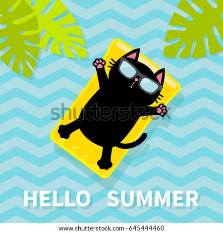 Similar – Image, Stock Photo Hello! Water Animal