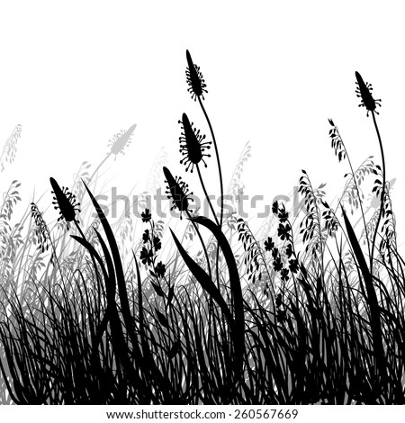 Spring or summer season abstract nature vector background with grass. Silhouette.