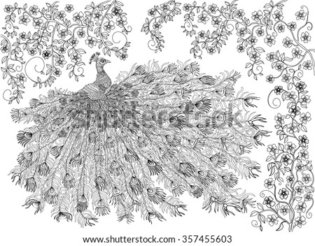 Hand drawn bird - Crowned peacock on a branch of a blossoming tree. Coloring page.