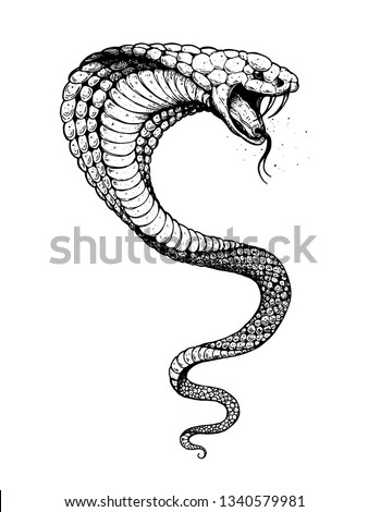 Cobra Drawing | Free download on ClipArtMag