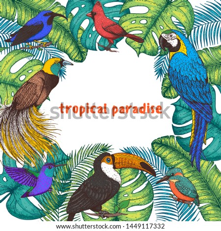 Tropical birds and palm leaves vector illustration. Colorful toucan, cardinal bird, kingfisher, hummingbird, parrot, bird of paradise. Hand drawn illustration. Summer design template. Tropical fauna