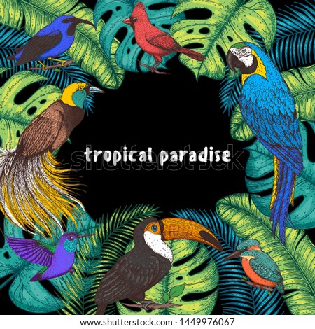 Tropical birds and palm leaves vector illustration. Colorful toucan, cardinal bird, kingfisher, hummingbird, parrot, bird of paradise. Hand drawn illustration. Summer design template. Tropical fauna