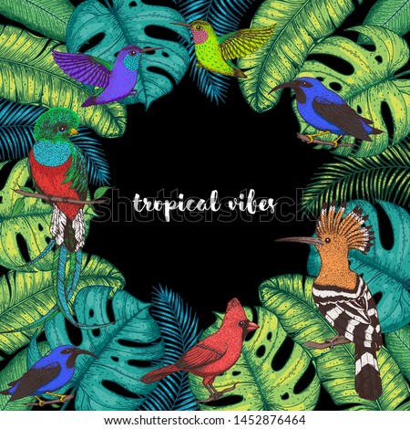 Tropical birds and palm leaves vector illustration. Colorful cardinal bird, kingfisher, hummingbird, quetzal. Hand drawn illustration. Summer design template. Tropical fauna
