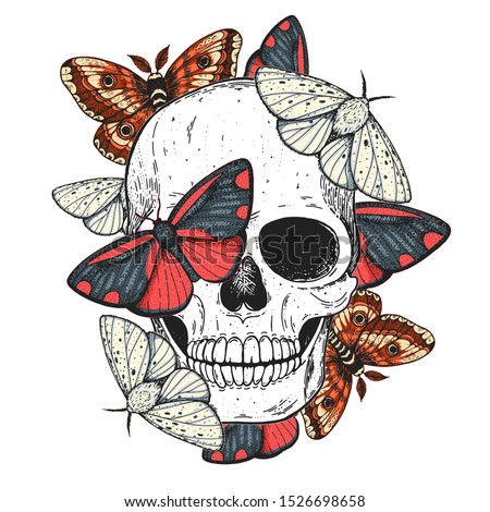 Vector Butterfly Skull | Download Free Vector Art | Free-Vectors